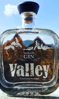 Gin Valley_silva sergius